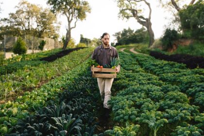 The-Farm-to-Table-Movement