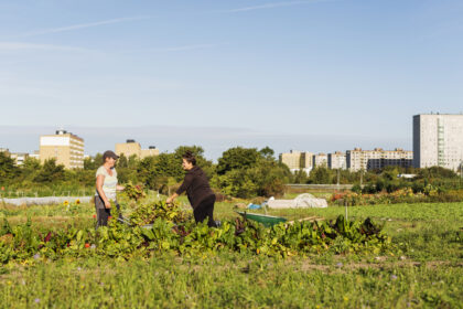 Urban-Agriculture